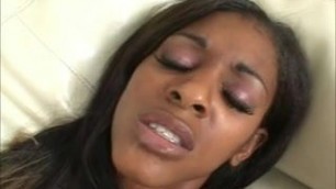 Black Honeys Swallow